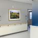 photograph of a field of flowers in a hospital corridor